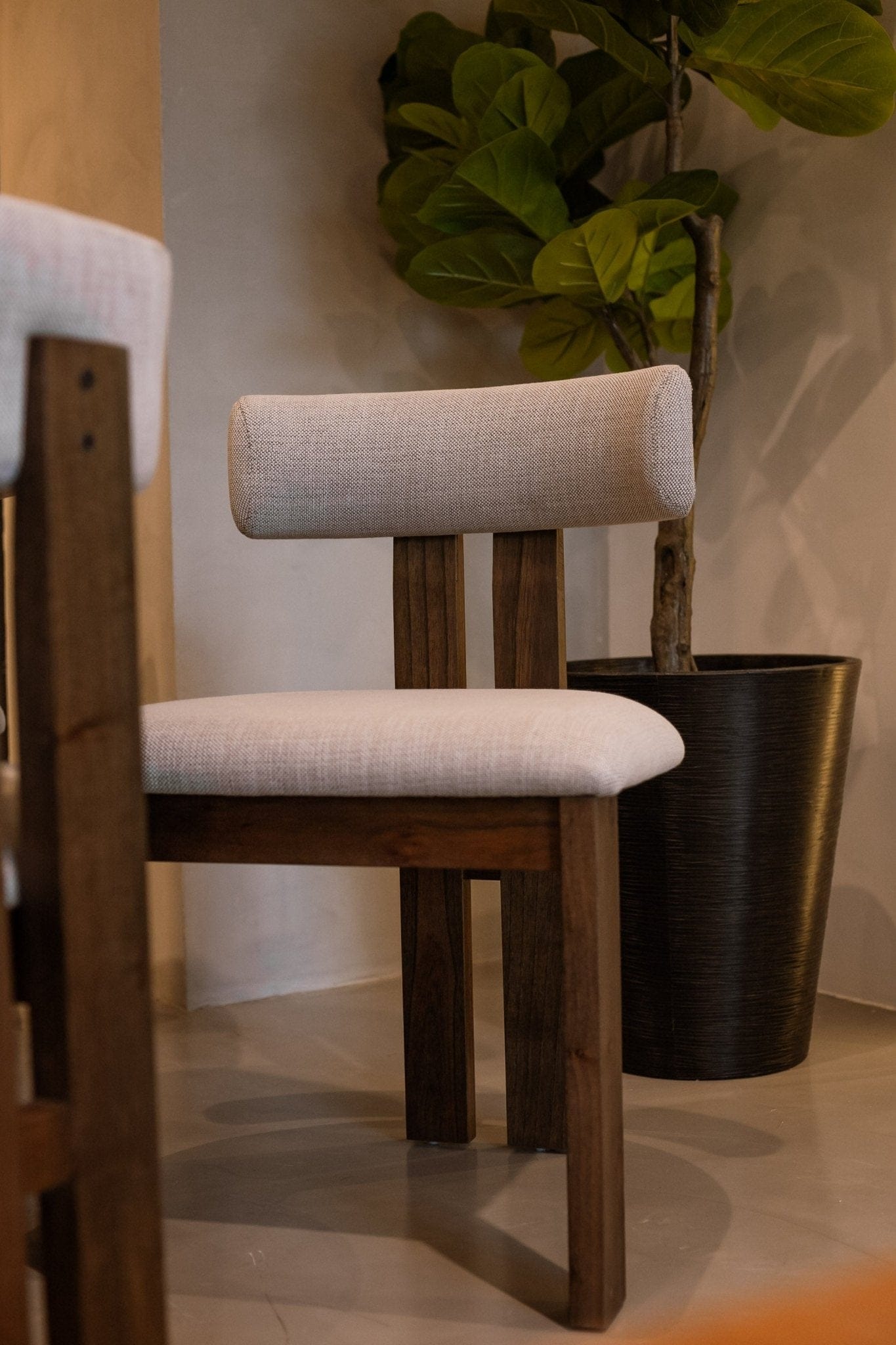 Silla Mia